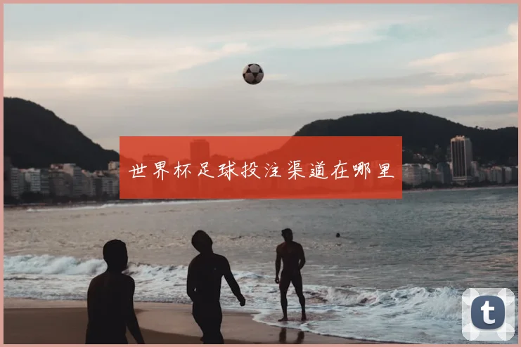 世界杯足球投注渠道在哪里