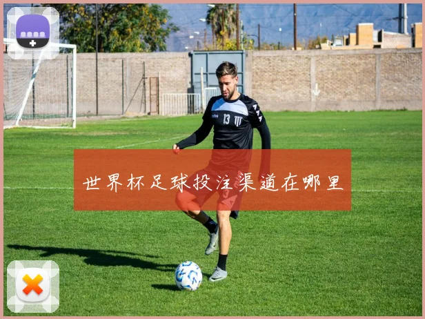 世界杯足球投注渠道在哪里