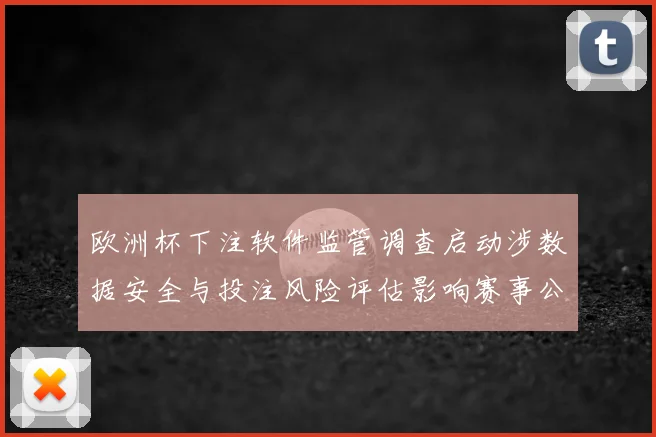 欧洲杯下注软件监管调查启动涉数据安全与投注风险评估影响赛事公正性
